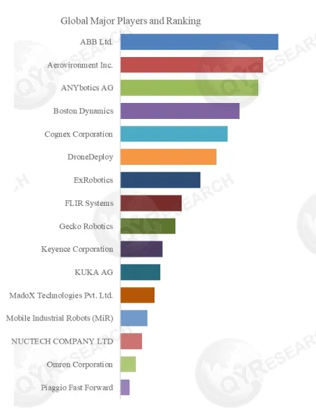 Video Inspection Robot