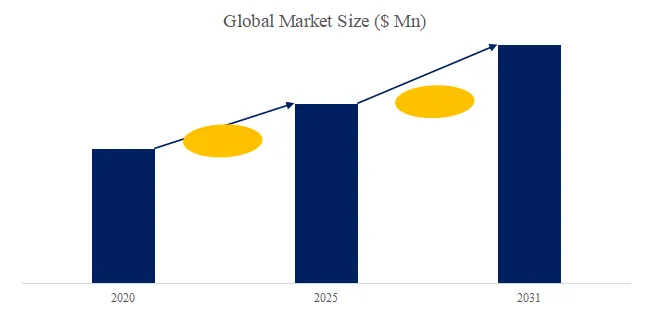 Medical Silicone Anatomy Models