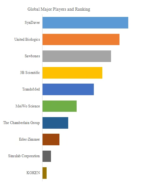 Medical Silicone Anatomy Models