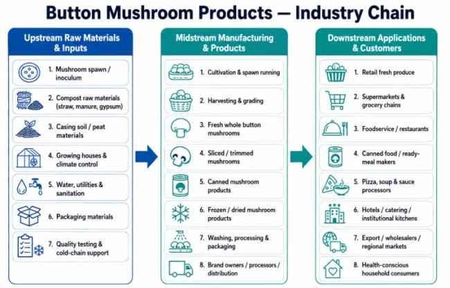Button Mushroom Products