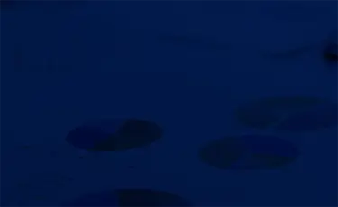 Reports